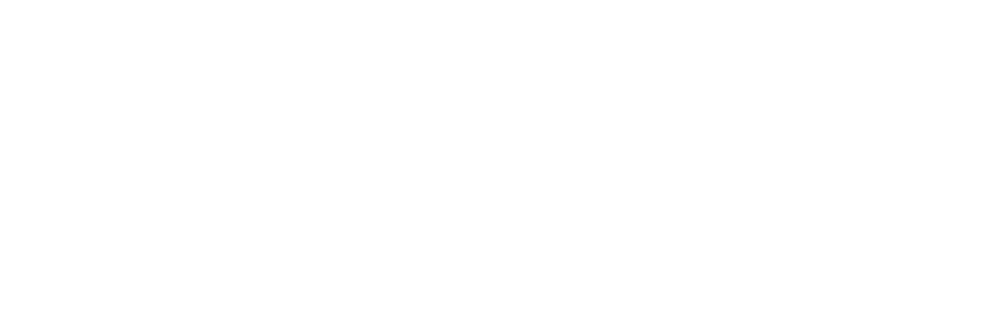 Tremblant Luxury Services logo